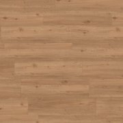  1191 CLIFTON CHESTNUT 