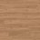1191 CLIFTON CHESTNUT