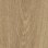 natural giant oak (180x32 cm)