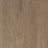 natural collage oak (120x20 cm)