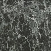 forest marble (50x50 cm)