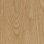 honey elegant oak (120x20 cm)