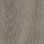 grey giant oak (180x32 cm)