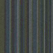 Complexity navy