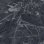 marquina