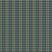 Plaid Mustard