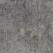 lichen