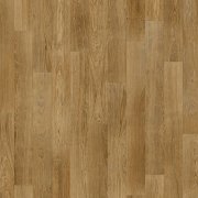 American oak