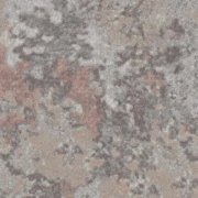 Natural Haven coral