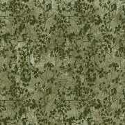 Vivienne Olive