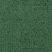 Code evergreen