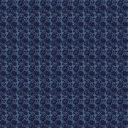 Lace Bleu