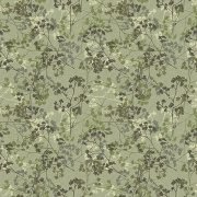 Elderflower Pistachio