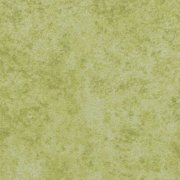 Calgary lime