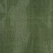 Latitude juniper