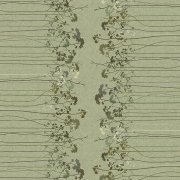 Elder Border Pistachio