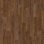 chestnut