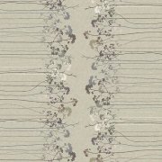 Elder Border Almond