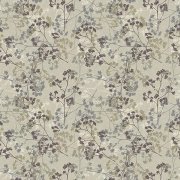 Elderflower Almond