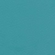  6431 TEAL 