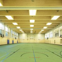 Gerflor DLW LINODUR SPORT