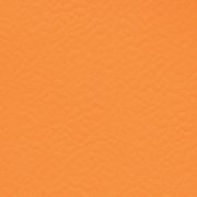  6160 NARANJA 
