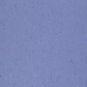  1004 BLUEBIRD 