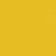  6211 GOLD 