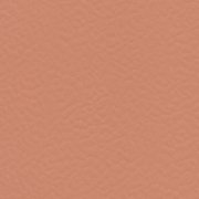 6146 CORAL 