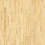 JESION (3-strip)