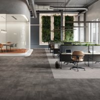 IVC Teak