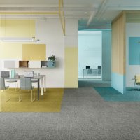 IVC Balanced Hues