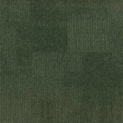 685
