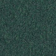 arctic green