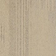 white spruce