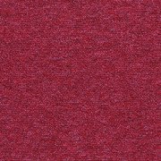maraschino