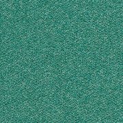 eucalyptus