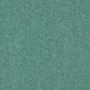 4122303 Eucalyptus