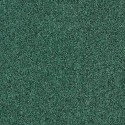 4122305 Forest
