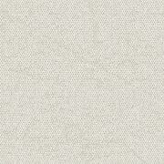 4282021 Oatmeal
