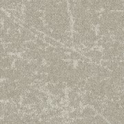 4282022 Mushroom