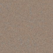 4282027 Sandstorme