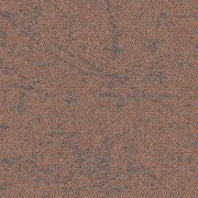 4282028 Drylands