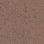 4282028 Drylands