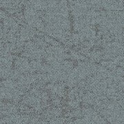4282032 Agave