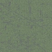 4282034 Moss