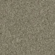 olea