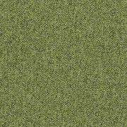 meadow