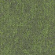 669