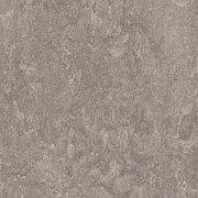 serene grey